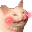 :cattoblush: