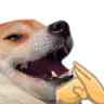 Handcupdog