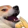 :Handcupdog:
