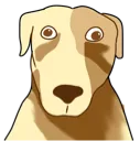 gag_stunned