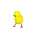 DUCKINITTTTT