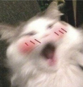 Screenshot________com custom emote | #~ 𝐄𝐦𝐩𝐢𝐫𝐞 𝐖𝐞𝐬𝐭 𝟏𝟖𝟕
