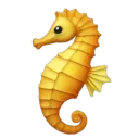seahorse