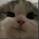 Xieron_stolen_emoji_1774169937