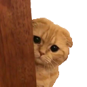 catpeek Discord emoji