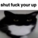 shutduckyourup