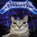 kittylicker