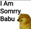 sorry_babu
