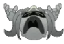 j_WHYYY