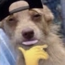 ahahdoggo Discord emoji