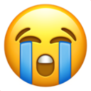 :loudlycryingface_1f62d: