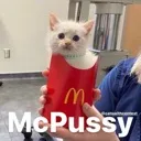 PS_CatMcpussy