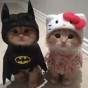 PS_CatFrens