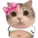 PS_CatJustAGirl