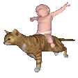 PS_CatBabyRide