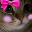PS_CatBlushCute