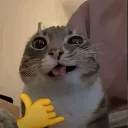 __