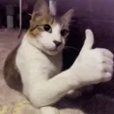 ThumbsuponSturniolos