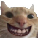 d_catsmile Discord emoji