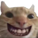 d_catsmile