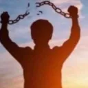 d_free