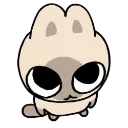 cute_stare