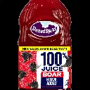 boarjuice