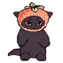 strawberrycat_black