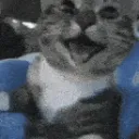 YAY
