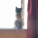 ChunkScary