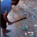 MIBOMBO MIBOMBO