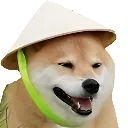 doge