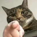 kao
