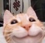 d_M0smile Discord emoji