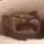 d_dying Discord emoji