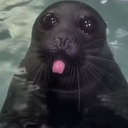d_sealBleh Discord emoji