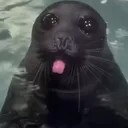sealBleh