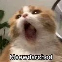 emoji_15