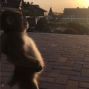 :bwnemoji_12: