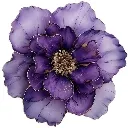 emoji_283