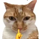 shhh