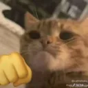 punch