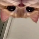 upsidedowncar upsidedowncar