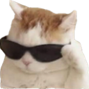 coolcat Discord Emoji - Friends hub | سەنتەری هاوڕێیان