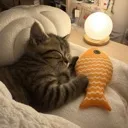 eep