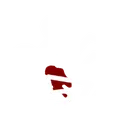 csibody2