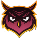 Owls logo