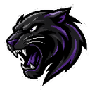 Panthers logo