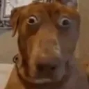 waht