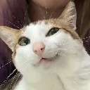 DisgustedBao